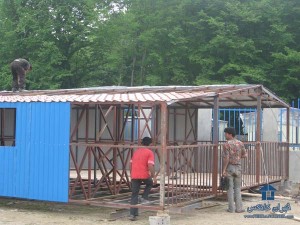 اسکلت کانکس