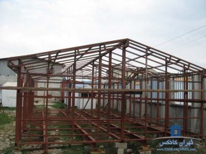 اسکلت کانکس  چند قلو